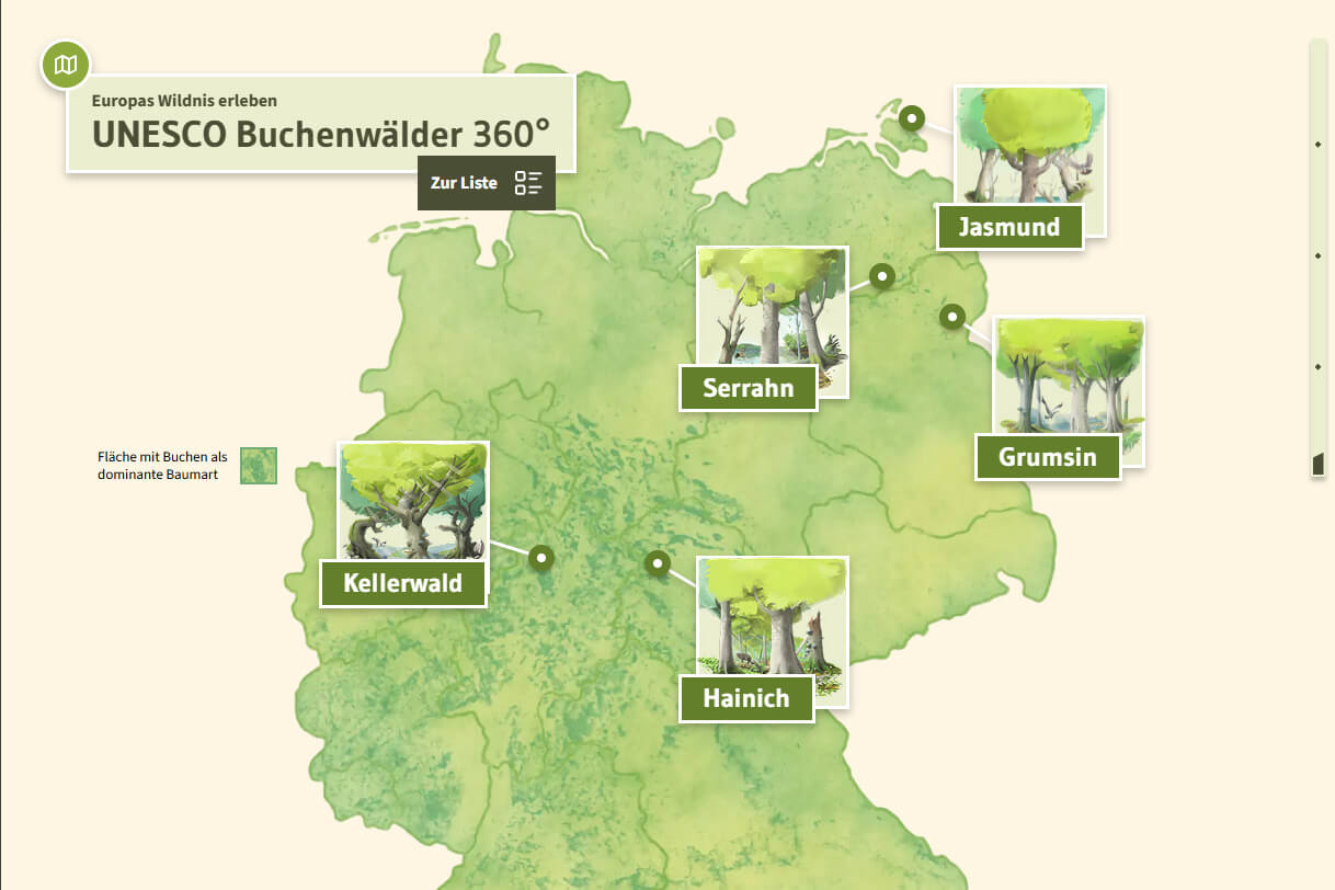 Illustrated map of Germany inside the Experience showing the five UNESCO Beech Forests Jasmund, Serrahn, Grumsin, Hainich and Kellerwald