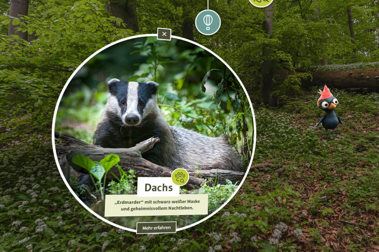 Interactive information point about the badger within a 360° forest scene, accompanied by the AI-animated woodpecker avatar